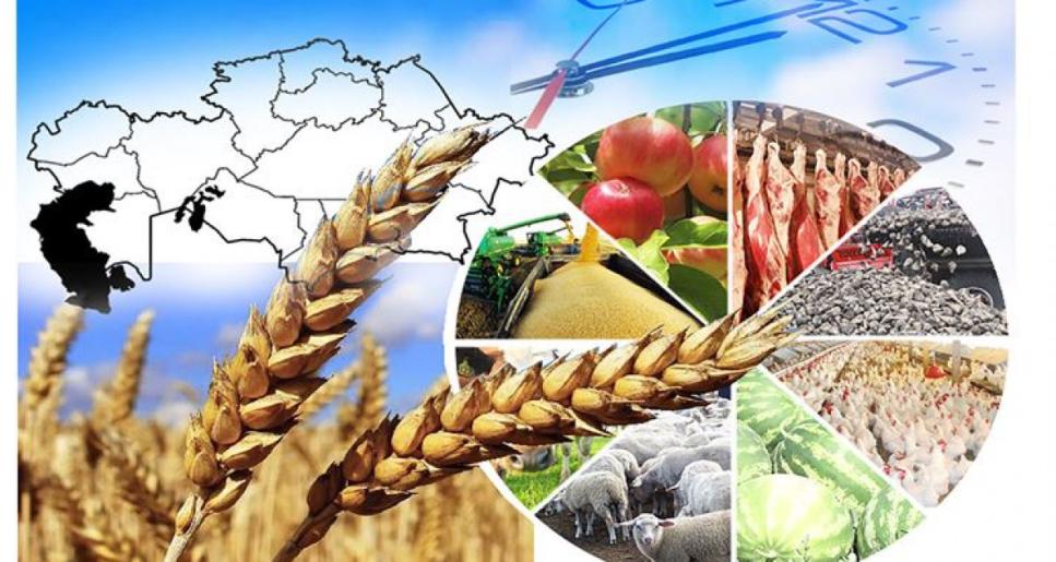 Агроөнеркәсіптік кешен – ауылдың даму кепілі