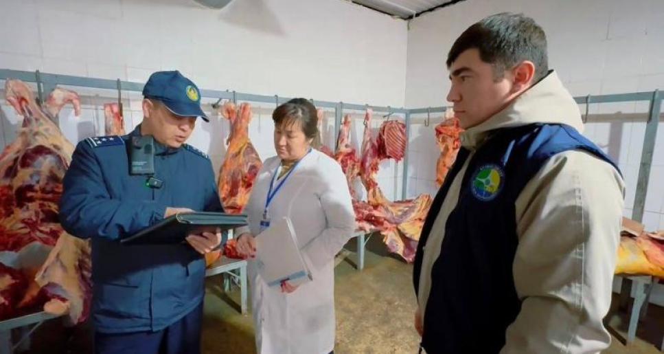 Атырауда мал базарлары мен ет өнімін сататын нүктелер тексерілуде