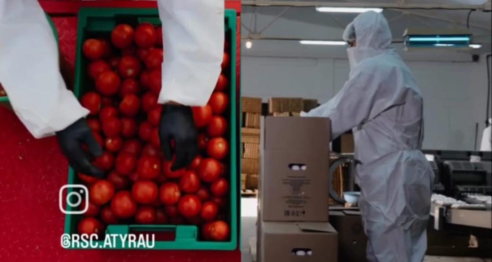 17 қараша – ауыл шаруашылығы, тамақ және қайта өңдеу өнеркәсібі қызметкерлерінің күні