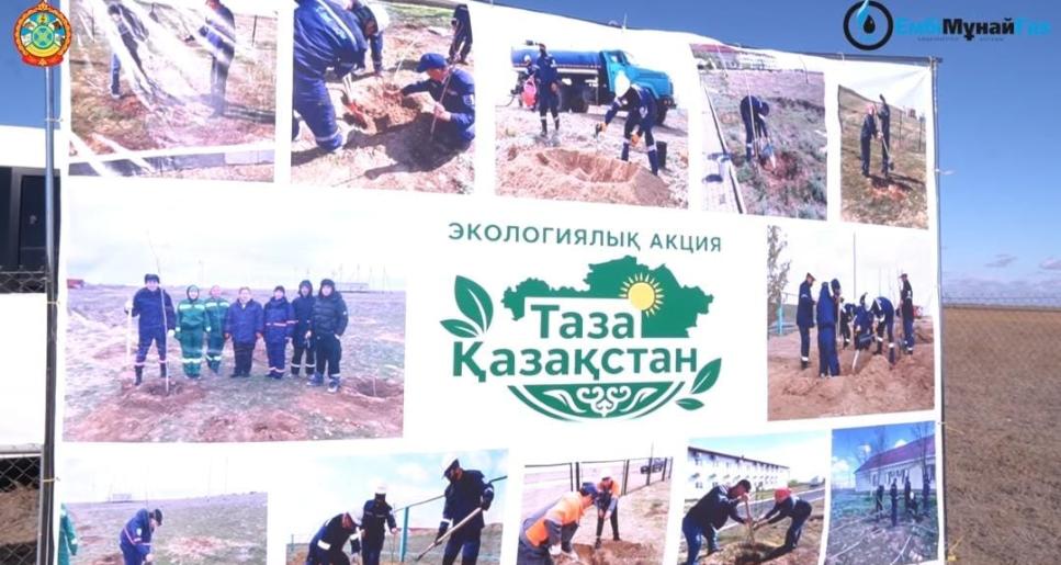 Қайнарлықтар «Таза Қазақстан» экологиялық акциясы аясында көгалдандыру жұмыстарын жүргізді