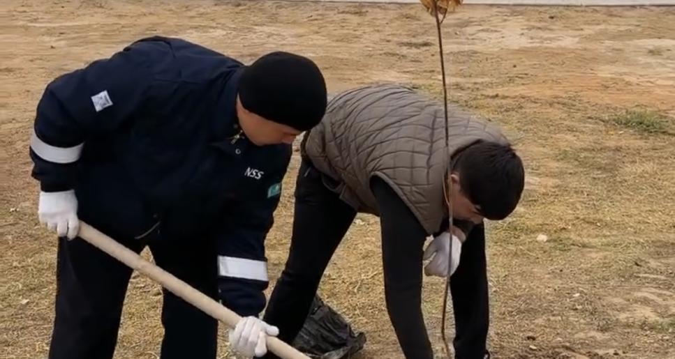 Құлсары қаласында 200-ге жуық көшет егілді