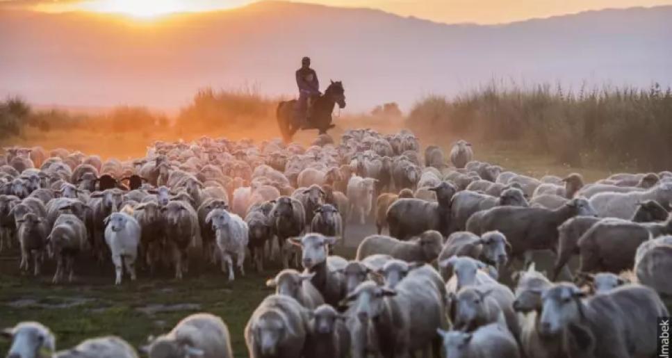 Сұранысқа ие мамандық иесі ешқашан далада қалмайды