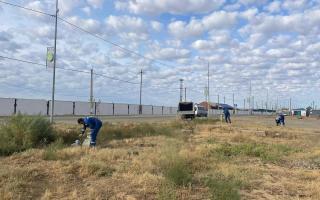 «Таза Қазақстан» акциясы – жергілікті экологиялық мәдениетті арттыру жолында