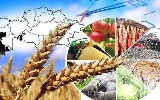 Агроөнеркәсіптік кешен – ауылдың даму кепілі