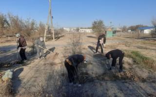 &quot;Таза Қазақстан&quot; экологиялық акциясы аясында тал егу шарасы өтті