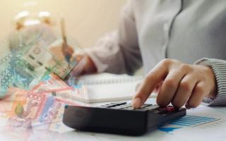 Салық тексерісін тежеу: Мүмкіндік пен мәселе