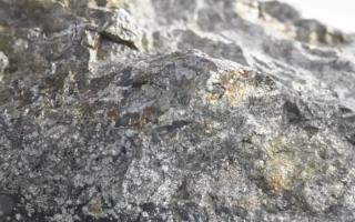 ЖИ 3,3 миллиард жыл бұрынғы тіршілік іздерін анықтауға көмектеседі