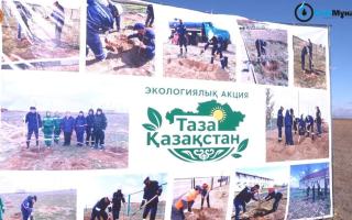 Қайнарлықтар «Таза Қазақстан» экологиялық акциясы аясында көгалдандыру жұмыстарын жүргізді