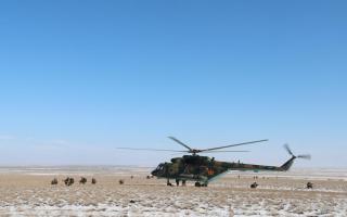 Кенеттен тексеріс: Десанттық-шабуылдау әскерлері дабылмен көтерілді