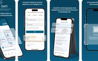 Әділет министрлігі Жеке сот орындаушыларының республикалық палатасымен бірлесіп Атқарушы органдардың автоматтандырылған ақпараттық жүйесіне мобильді қосымша әзірледі